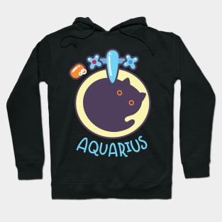 Funny Aquarius Cat Horoscope Tshirt - Astrology and Zodiac Gift Ideas! Hoodie